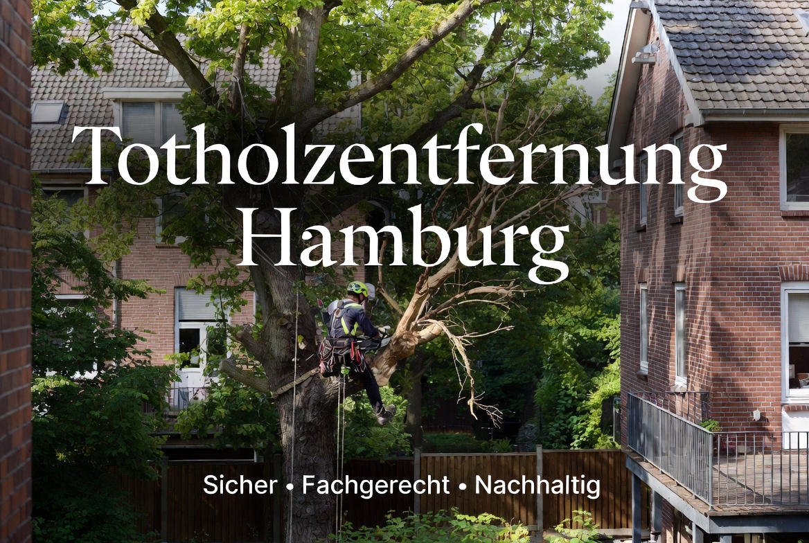Rainer entfernt Totholz aus einer Eiche in Hamburg
